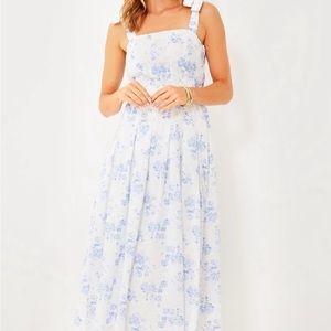 Blue Chintz Teagan Midi Dress - Blue Chintz / XXL